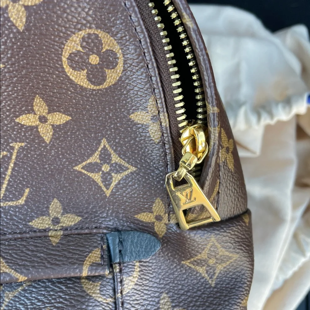 Louis Vuitton Palm Springs MM monogram backpack - Picture 3 of 15